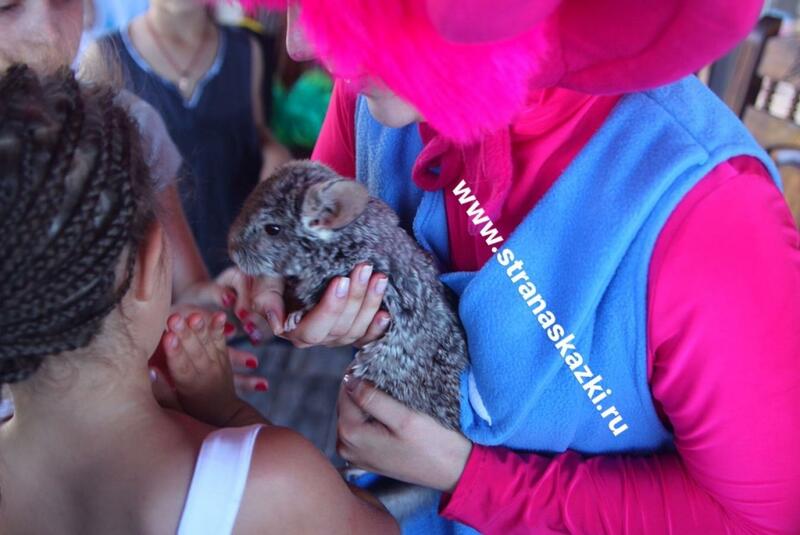 день рождения детям саратов
